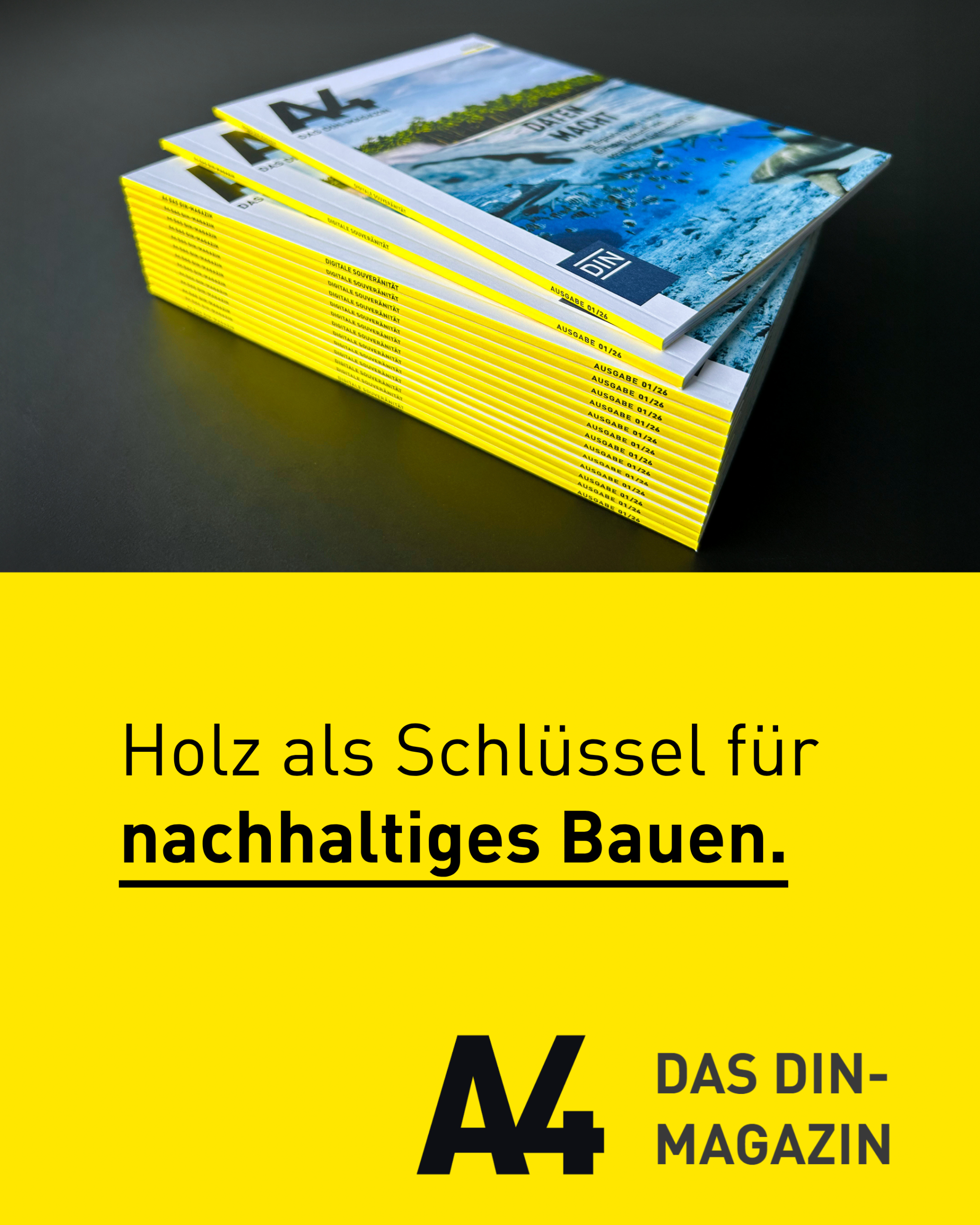 Auf dem Holzweg
